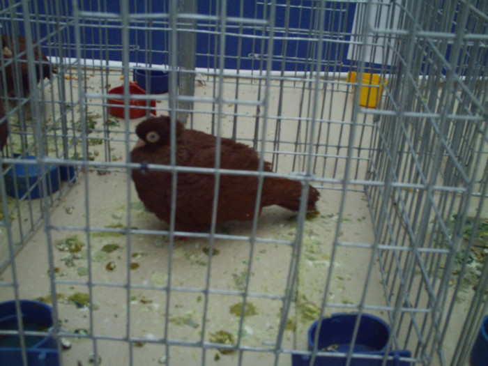 PICT0256