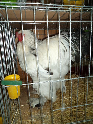 DSC01263