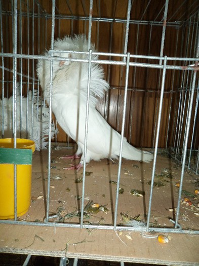DSC01290