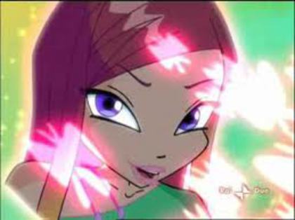 imagesCADRHFWY - winx roxy