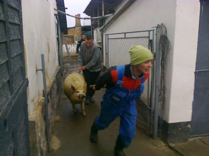 Fotografie0549; sa sacrificat pentru Romani
