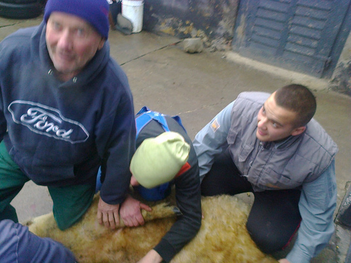 Fotografie0553; risu plinsu
