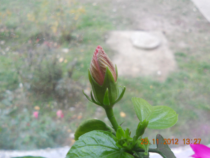 DSCN2438