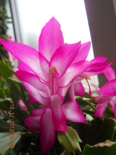 DSCN2417