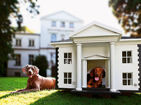 cool-dog-houses-by-best-fr-copy - Dog House