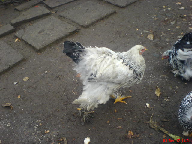 DSC03659