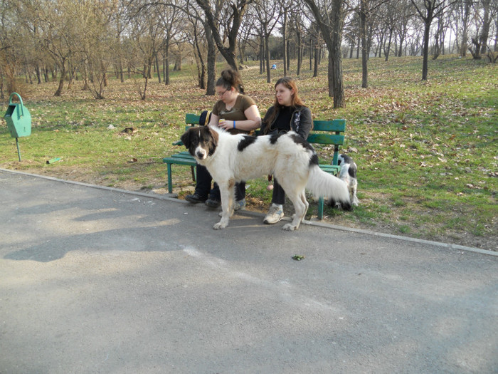 prin tineretului - 08-- Sheeva -- paznica de nadejde