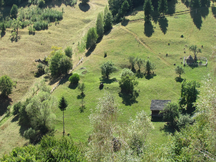 IMG_7823 - Vara - Toamna - Iarna in Transylvania