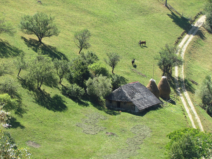 IMG_7825 - Vara - Toamna - Iarna in Transylvania