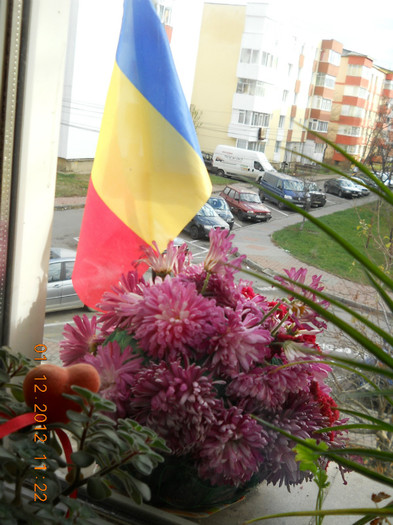 TUTUROR ROMANILOR