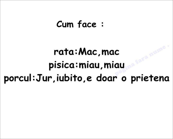 Dap... - 008-About me