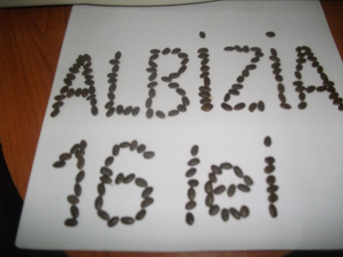 sem. albizia 004 - seminte de Albizia -arborele de matase