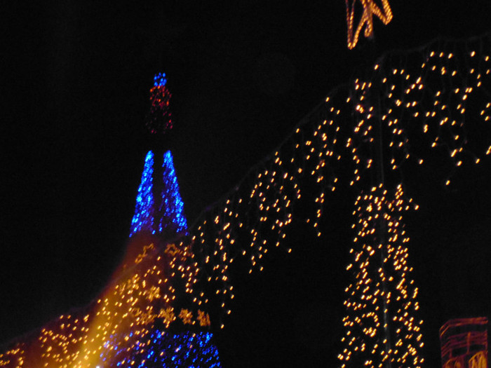 P1010377 - 1DECEMBRIE 2012