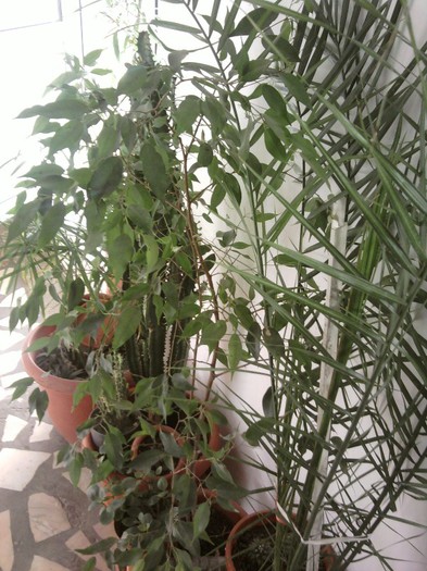 Fotografii-0681