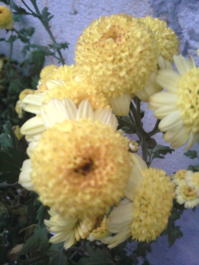 Fotografii-0608