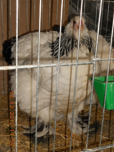 DSCN8298