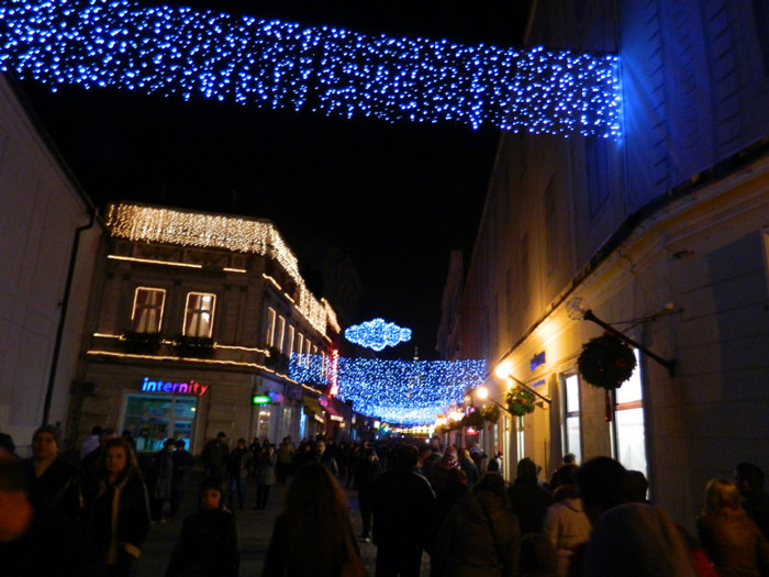 DSCN2983 - 1 DECEMBRIE 2012 TIMISOARA