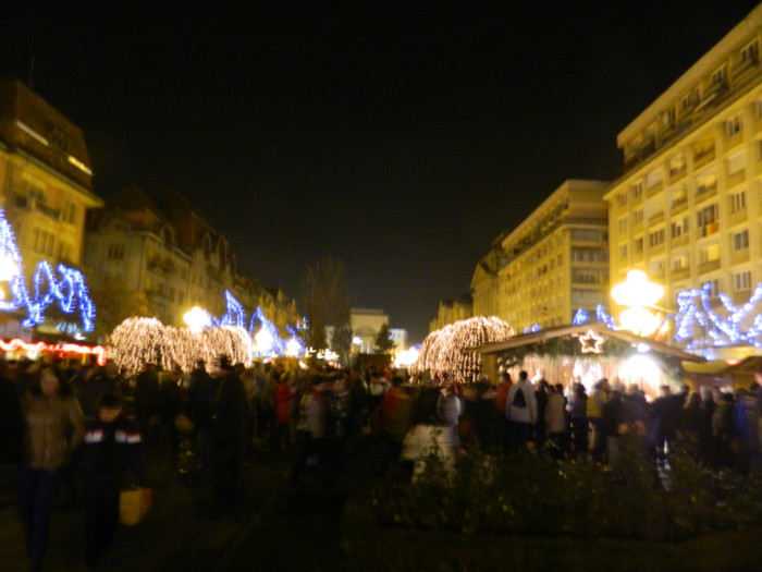 DSCN3019 - 1 DECEMBRIE 2012 TIMISOARA