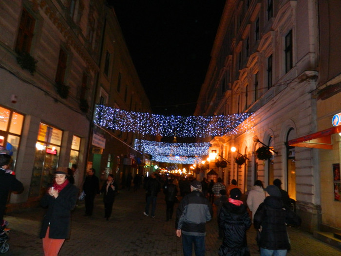 DSCN3044 - 1 DECEMBRIE 2012 TIMISOARA