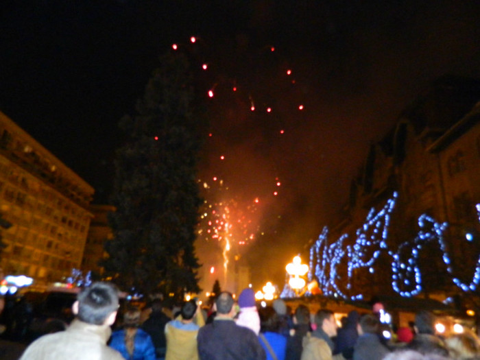 DSCN3070 - 1 DECEMBRIE 2012 TIMISOARA