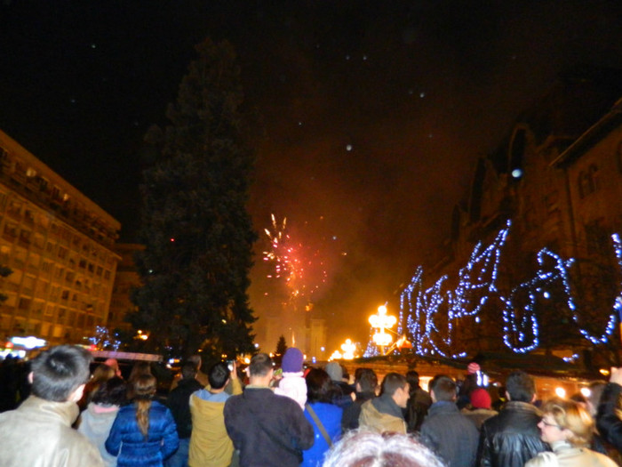 DSCN3071 - 1 DECEMBRIE 2012 TIMISOARA