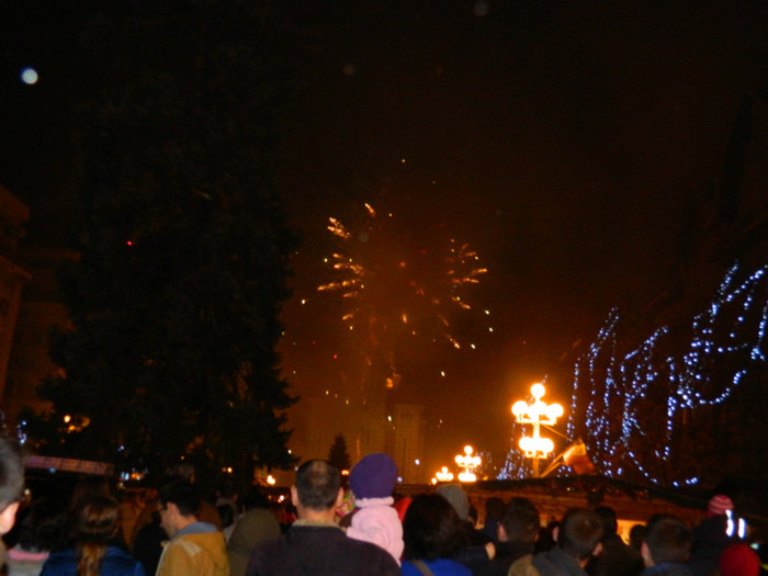 DSCN3073 - 1 DECEMBRIE 2012 TIMISOARA