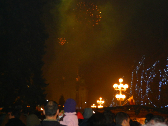 DSCN3078 - 1 DECEMBRIE 2012 TIMISOARA