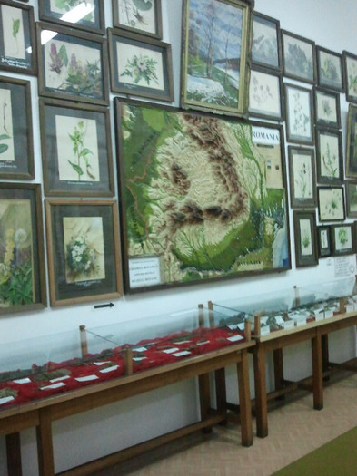 2012-12-02 12.29.46 - Expozitie Gradina Botanica Dec 2012