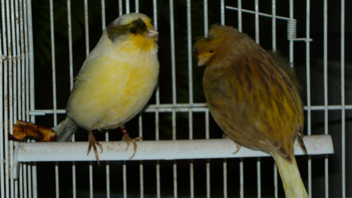 P1050132