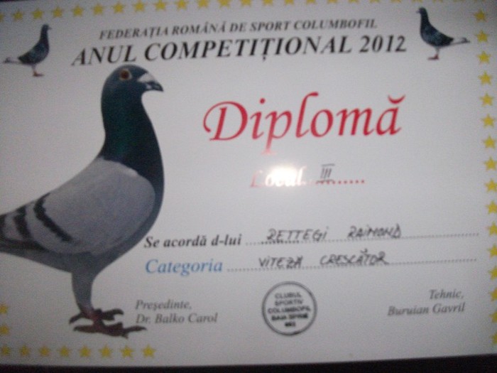 DSCF2201 - Rezultate 2012