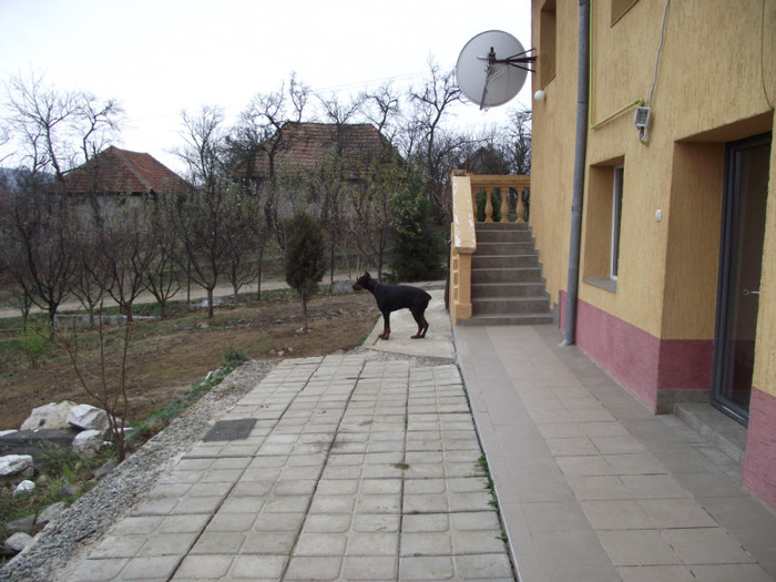 poze  TOAMNA 2012 381