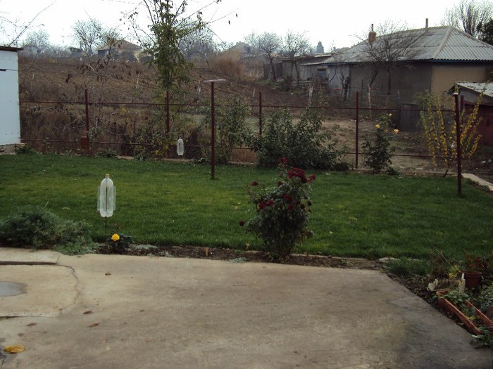 DSC01381