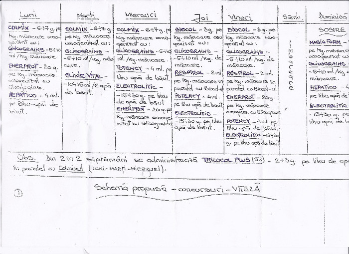 program pregatire porumbei - viteza - PROGRAM PREGATIRE PORUMBEI