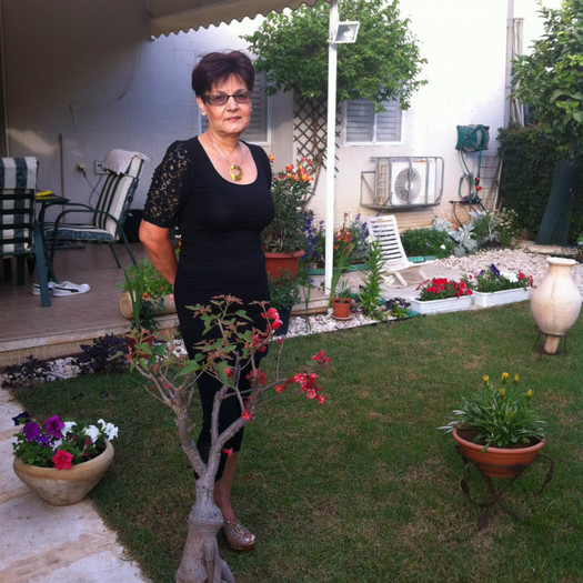 nevasta mea linga bonsaiul nostru migrator; in fiecare zi il gasesc in alta parte a gradinei
