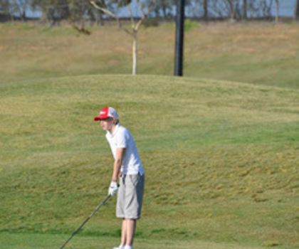 2 - harry si niall la golf