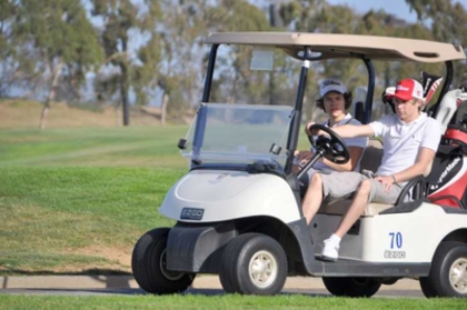 7 - harry si niall la golf