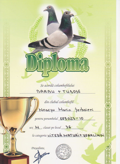 loc 36 V M+Y - DIPLOME 2012