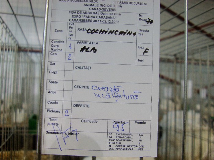 IMAG0209 - EXPO CARANSEBES DECEMBRIE 2012