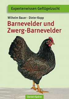 BarnevelderZwerg-Barnevelder 9,9 euro