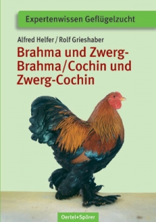 BrahmaZwergbrahma. 18 euro