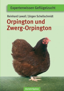 Orpington Zwerg-Orpington