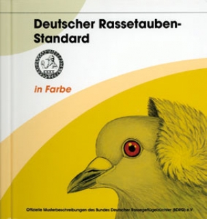 standard european porumbei