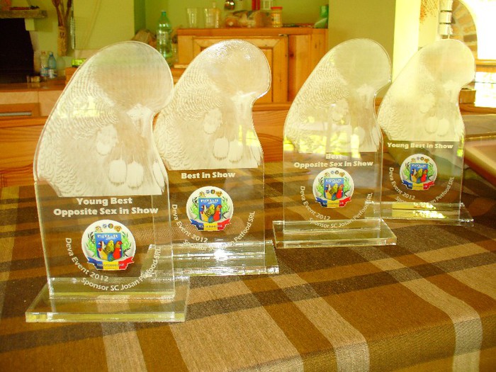 Trofeele oferit de Catalin Josan - 4 Expo-Deva Event 2012