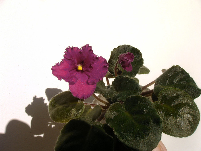 IMAG0026