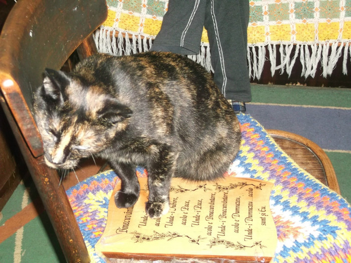 Mita!,hop si ea pe langa masa!!!