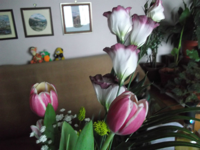 am primit cele mai frumoase flori din lume!!!!