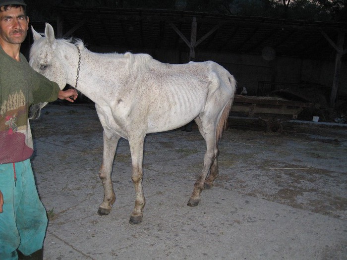 cal- slabire extrema