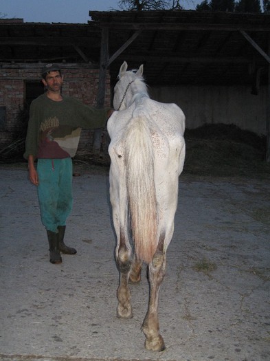 cal -slabire extrema