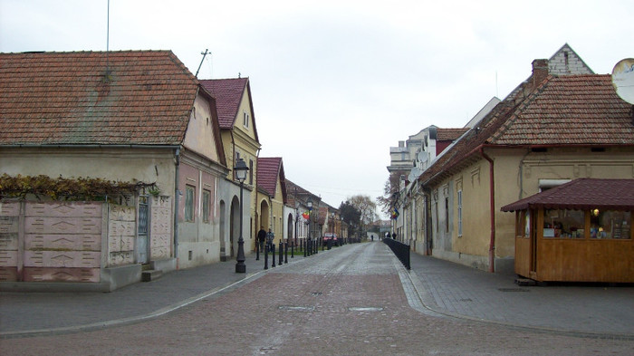 100_2802 - De la Sighisoara la Alba Iulia