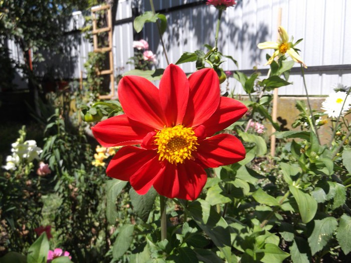 DSCF5499